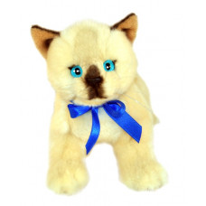 Siamese Plush Kitten